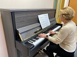 По народной программе Единой России в школы искусств Солнечногорска поступили новые музыкальные инструменты