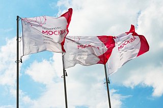 В Алабушево будут производить импланты из титана