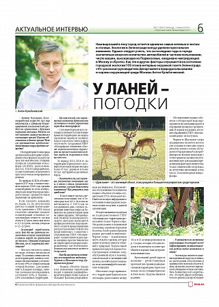У ланей – погодки