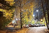 В районе Савелки проходит регулярная работа по содержанию территории