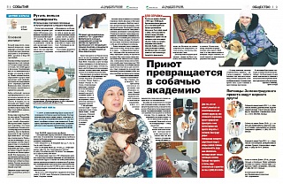 Приют превращается в собачью академию