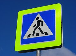 Профилактическое мероприятие «Пешеход» 