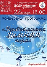 "Удивительная зимняя пора"
