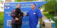 Сергей Собянин: Более 120 пунктов бесплатной вакцинации на площадках для выгула собак будет работать этим летом в Москве