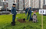 В Зеленограде открыли Аллею в честь 35-летия МЧС России В Зеленограде открыли Аллею в честь 35-летия МЧС России