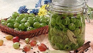 Маринованный крыжовник