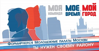 Политика-профессия молодых