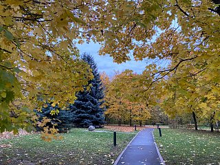 Немножко «просто осени» от Яны Тепловой