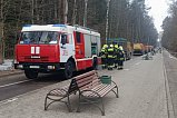 В Зеленограде прошли пожарные учения по тушению лесных пожаров