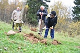 В Зеленограде появилась Аллея здорового сердца 