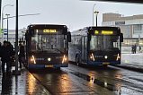 Три зеленоградских автобусных маршрута будут работать всю новогоднюю ночь