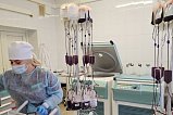 За 2024 год служба крови зеленоградской горбольницы заготовила 7 тонн крови
