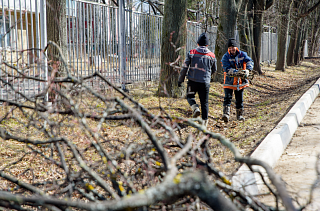 Жителей Смирновки и Поварово приглашают на субботники 8 апреля