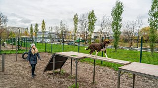 Жителям Подмосковья напомнили адреса площадок для выгула собак