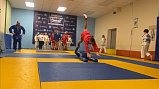 В Солнечногорске прошёл открытый урок по самбо