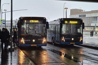 Три зеленоградских автобусных маршрута будут работать всю новогоднюю ночь