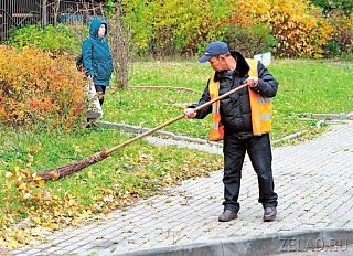 В Зеленограде стартовал месячник осеннего благоустройства