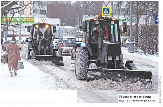 Прививки от снегопада и гриппа 