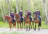 Коней припарковали у пруда