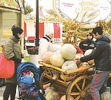 «Праздник тыквы» на площади Юности