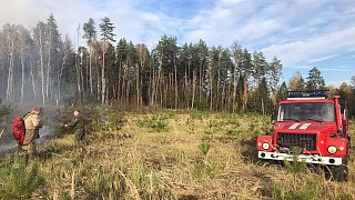 В лесах Подмосковья ожидается третий класс пожарной опасности