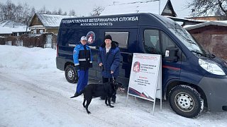 Более 5 тыс. пунктов вакцинации против бешенства животных организуют в Подмосковье