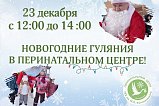 В субботу в Перинатальном центре Зеленограда пройдут новогодние гуляния