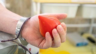 Почти 40 тыс. человек стали донорами в Подмосковье с начала года