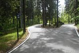 Лыжероллерную трассу за горбольницей Зеленограда планируют расширить в Подмосковье и сделать флагманской