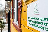 В Зеленограде можно сдать в переработку новогодние деревья