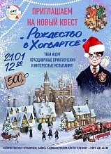 РОЖДЕСТВО В ХОГВАРТСЕ