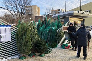 В декабре в Зеленограде откроются семь ёлочных базаров