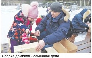 Дома для птиц построили дети !