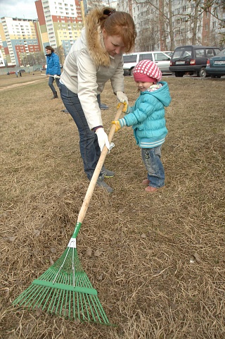 О «миллионе деревьев» и летних кафе