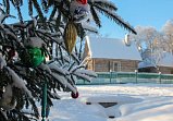 Новогодняя программа "В гостях у сказки" в Шахматово