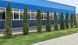 На КПО «Нева» в Солнечногорске продолжаются работы по озеленению и благоустройству территории