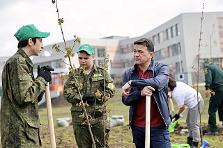Губернаторская акция «Лес Победы» состоится в Солнечногорске