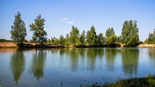 Минэкологии: По программе «100 прудов и озер» расчистят 40 водоемов Подмосковья в этом году