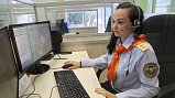Колл-центр по вопросам безнадзорных собак перейдет в систему 112