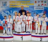 При поддержке единороссов в Солнечногорске прошел IV этап Кубка Московской областной федерации рукопашного боя «Будущий рукопашник»
