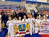 Единороссы Солнечногорска приняли участие во Всероссийских соревнованиях по рукопашному бою