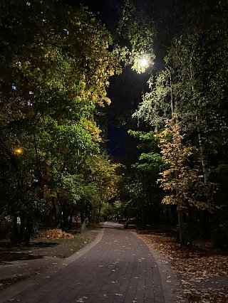 Осенний Зеленограда на фото Яны Тепловой