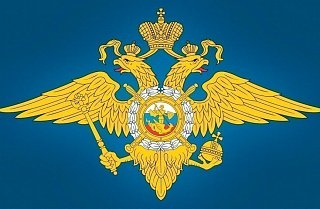 Зеленоградские полицейские задержали подозреваемую в покушении на крупный сбыт наркотиков