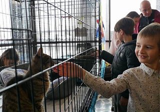 КЦ «Зеленоград» и «Доринвест» проведут акцию по пристройству бездомных животных