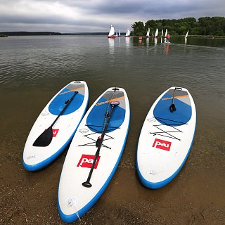Соревнования по сапсерфингу «ROYAL озера Сенеж» пройдут в Солнечногорске