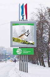 Зеленый год в зеленом округе