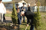 Вечная зелень победы