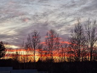 Всего один день