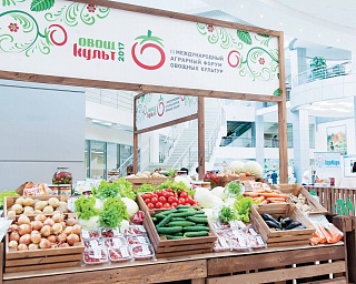 Каждому овощу – по культу!