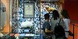 От истории флота до необычных животных: какие экспозиции можно посетить бесплатно в феврале